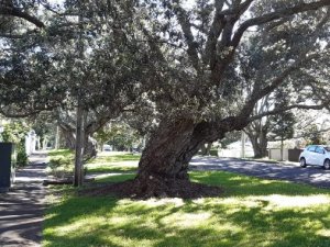 WhatsApp Image 2023-01-12 at 9.20.00 PM (1)