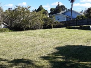 WhatsApp Image 2023-01-12 at 9.20.00 PM