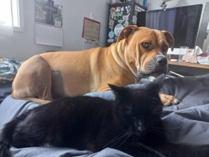 120153_turanga_and_mr_friend_thb