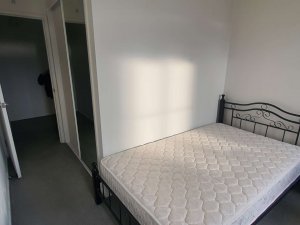 164721643755142_.pic