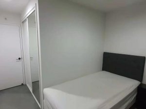 164751643755145_.pic