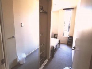 164761643755187_.pic