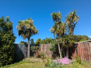 PXL_20251025_013215401