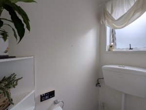 PXL_20260124_041119818