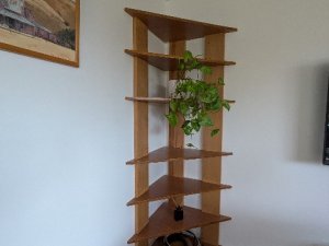 PXL_20260124_041234276