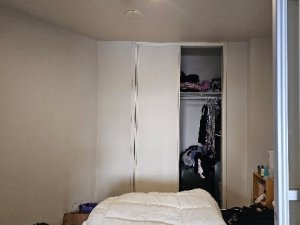 A19860C9-7558-498C-8476-6B1488F93E30