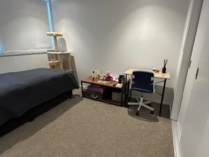 42DF96A9-310E-4615-B613-507CD52B9434