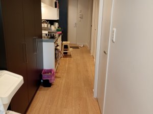 thumb-469529570_WnfK4Iwx_a62c343cfd75f79e8a05fcde28008d97324774f2_750x999