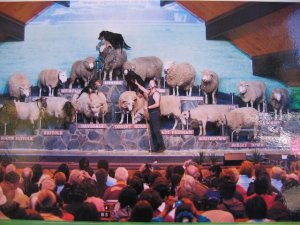 photos  26    6   10.. 064