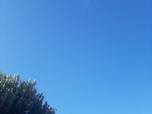 20260320_093707