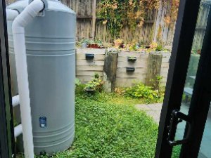 482042841_985540340207573_2637805757860582184_n