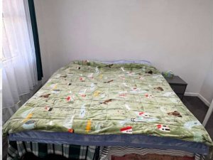 3FE95D3D-7DDF-40BD-B487-6BDA0385B441