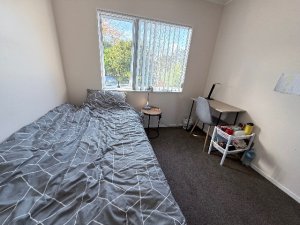 IMG_2358