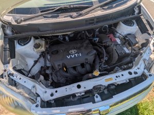 PXL_20260302_023447061