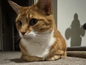 122D3293-9566-469D-9CA6-23B9AD2BA7E7