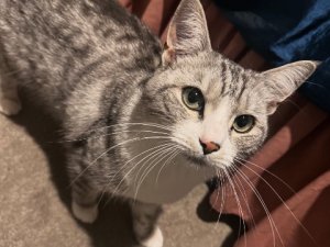 B49C370D-FE7B-4914-96AD-83FDB407481A