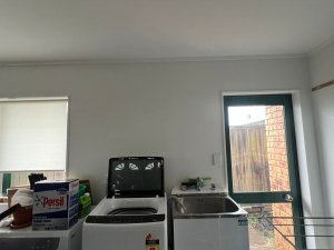 6d456937-1fdc-4e98-a02a-cb6dbfd09ea1