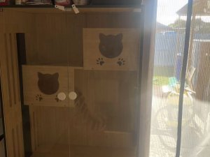 图片_20260312184103_131_16