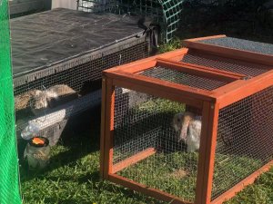 图片_20260312184107_132_16