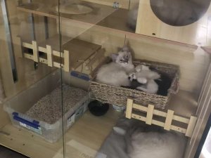 图片_20260312184109_133_16