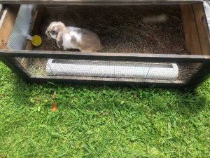 图片_20260312184111_134_16