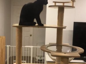 图片_20260312184113_135_16