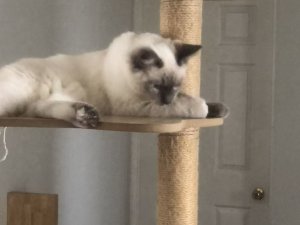 图片_20260312184115_136_16