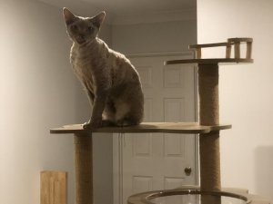 图片_20260312184117_137_16