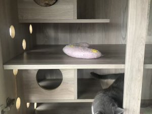 图片_20260312184119_138_16