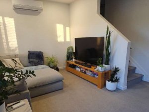 スクリーンショット 2026-03-13 午後1.34.11