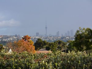 View from the Front Deck