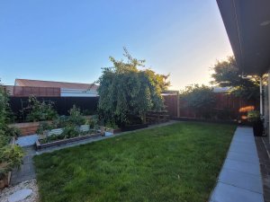 FB_IMG_1774826653915