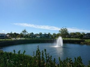 54375_31764_567083202_thb_thb