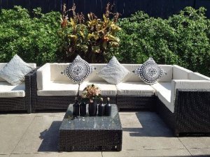 94426_1706278217_thb