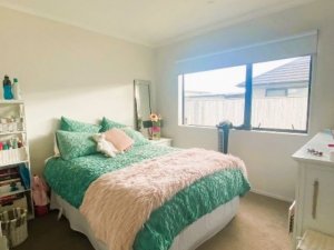 94426_1722288522_thb