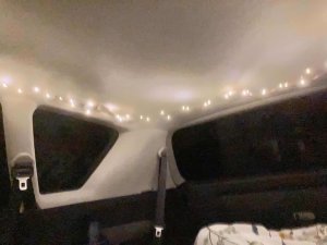 268C084A-39E3-4AFE-A273-3A0A47F83905