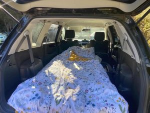 3D8795D9-9DDB-4B91-A0ED-A5FB640F8866