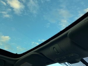 IMG_0594