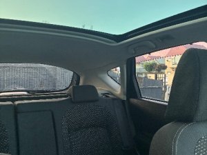 IMG_0595