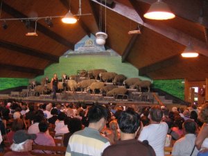 PHOTOS  .......   DOWNLOAD     7   3   08  ... 006