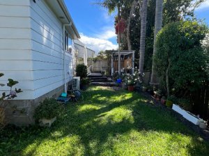 481946592_1008661977888047_6969477030661754391_n