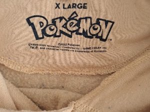 ポケモン　サイズだぐ