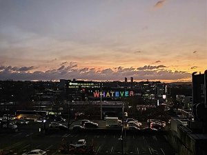 WhatsApp Image 2026-04-21 at 3.56.59 PM (6)