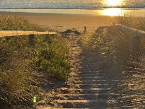 fc477d1d-2bea-4611-8678-4bf026a9929a