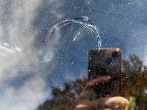 IMG_0519