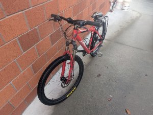 PXL_20260422_043204167