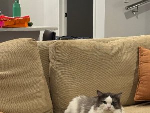 IMG_6710