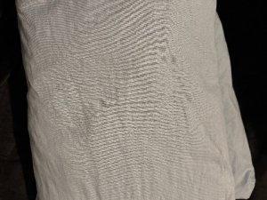 IMG_1252