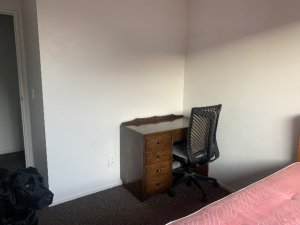 IMG_8350