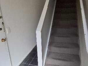 1000031490
